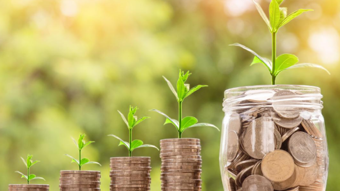 Tree growing in coins